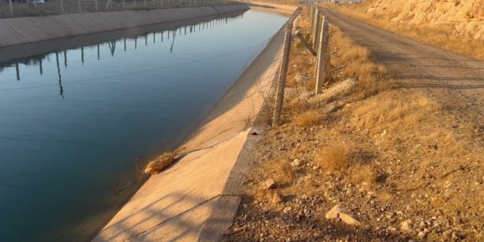 Urfa'da sulama kanalına giren çocuk boğuldu