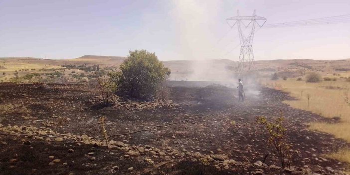 Malatya'da çıkan yangın meyve ağaçlarına zarar verdi