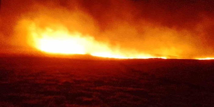 Diyarbakır’da çıkan anız yangınında bin dönüm arazi zarar gördü