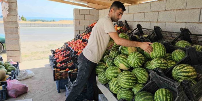 Bitlisli çiftçi yetiştirdiği ürünleri satarak aile bütçesine katkıda bulunuyor