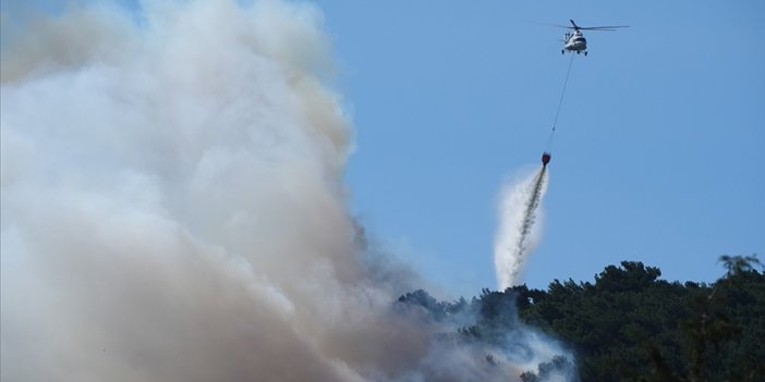 Türkiye'de orman yangınları geçen seneye göre yüzde 78 arttı