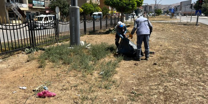 Yüksekova'da bakımsız orta refüjler temizleniyor