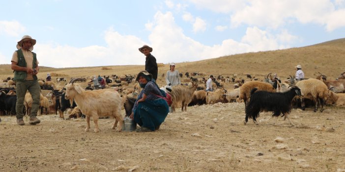 Yüksekova İnanlı Köyü'nde yaz aylarında yayla yaşamı