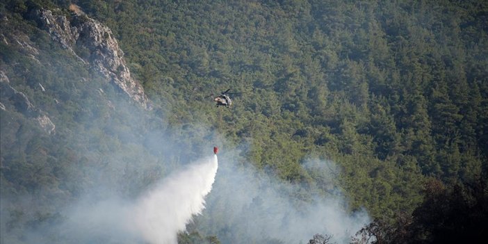 Orman yangınları alan olarak en çok İzmir ve Bolu'ya zarar verdi