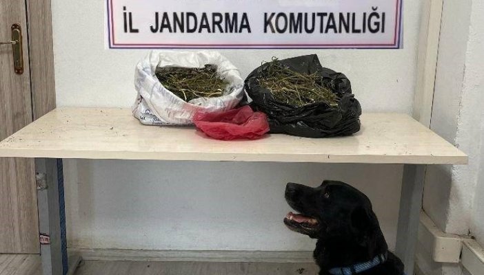 Iğdır’da 22,5 kilogram esrar ele geçirildi