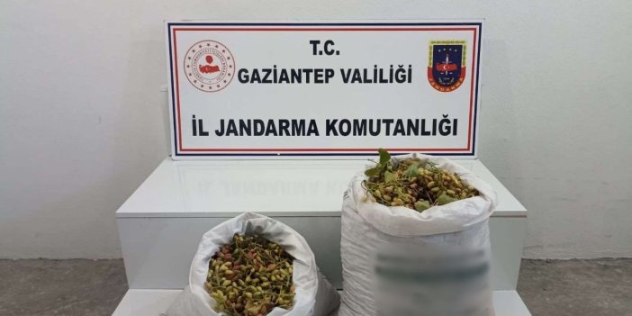 515 kilo Antep fıstığı çalan 2 şüpheli suçüstü yakalandı