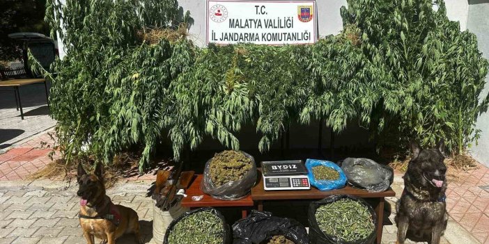 Malatya’da 11,5 kilogram kubar esrar ele geçirildi: 2 kişi gözaltına alındı