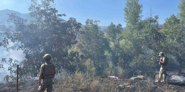 Tunceli’de çıkan örtü yangın büyümeden söndürüldü