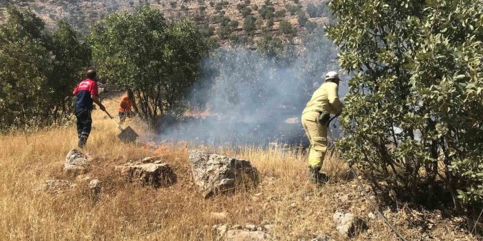 Mardin’de ormanlık alanda çıkan yangın ekiplerce söndürüldü