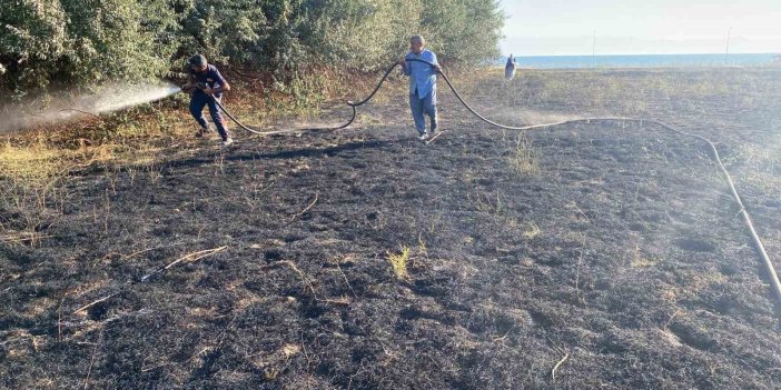 Van’da anız yangını ekipler tarafından söndürüldü