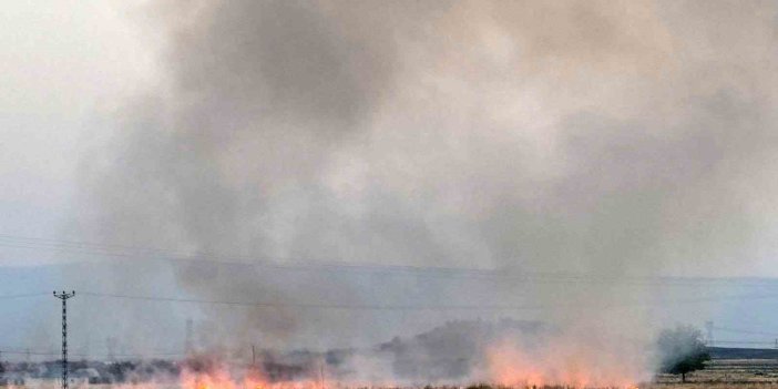 Diyarbakır’da anız yangını büyümeden söndü