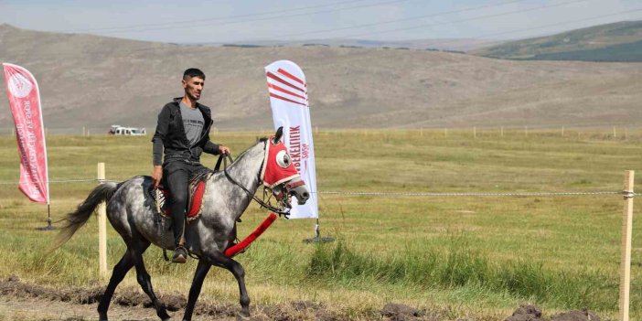 Ardahan'daki At Yarışı final koşuları, sağanak nedeniyle ertelendi