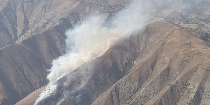 Hakkari’nin Demirli köyünde çıkan ot yangını kontrol altına alındı