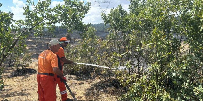 Bingöl’deki orman yangını  büyümeden söndürüldü