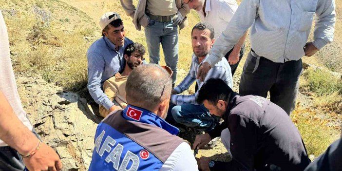 Hakkari’de ayının saldırısına uğrayan çoban ağır yaralandı