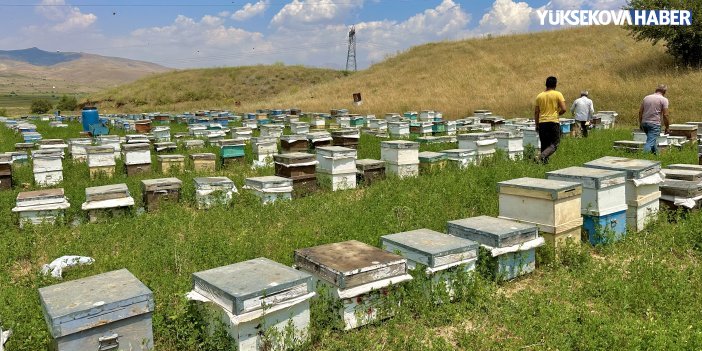 Yüksekova: Arılı Kovan Desteklemesi başvuruları devam ediyor