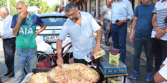 Siirt’in taze fıstık tezgahtaki yerini aldı