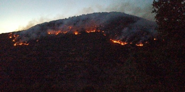 Bitlis’teki orman yangınları ekiplerin müdahalesiyle kontrol altına alındı