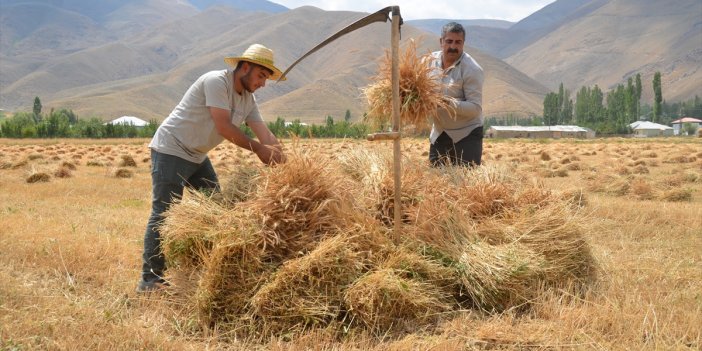 Köylerinde bir yandan babalarına destek olan Hakkarili iki öğrenci tıp kazandı