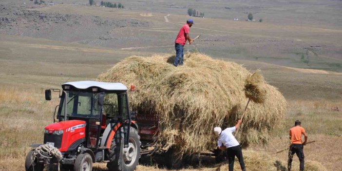 Kars’ta çiftçilerin sıcak havada ot toplama mesaisi sürüyor