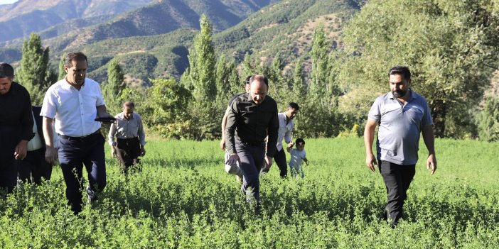 Şemdinli Kaymakamı tarım ürünlerini inceledi