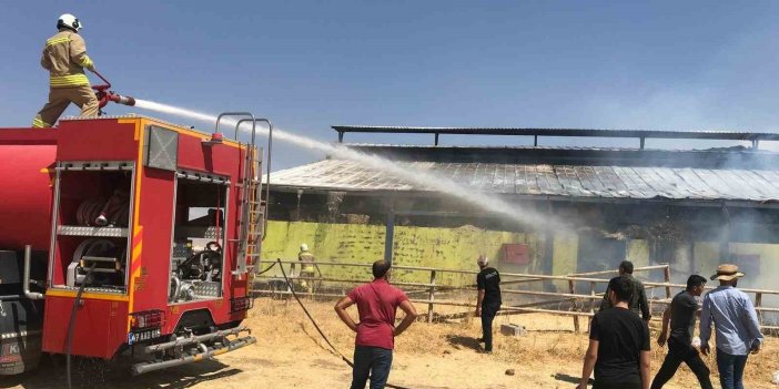 Mardin’de çiftlikte çıkan yangına ekipler müdahale ediyor