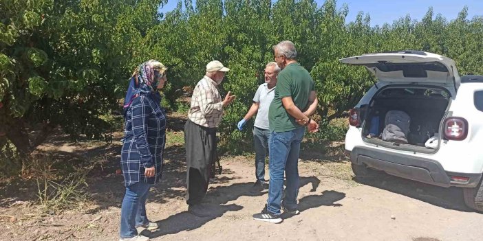 Elazığ’da şeftali bahçelerinde zararlı kontrolleri sürüyor