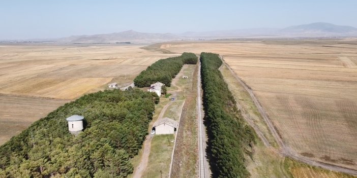 Kars'ta bozkırın ortasındaki vahada eylül güzelliği