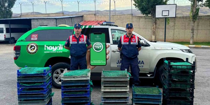 Ağrı’da kurbağa avcılarına rekor ceza verildi