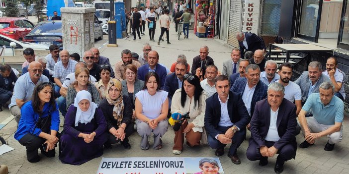 Yüksekova DEM Parti'den Narin Güran açıklaması