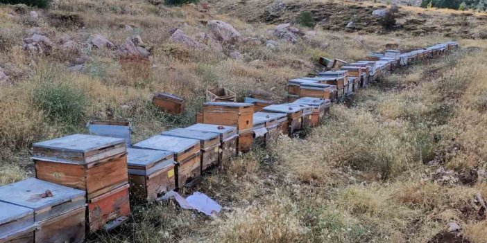 Ulubaba Dağ balı Anzer balına rakip oluyor