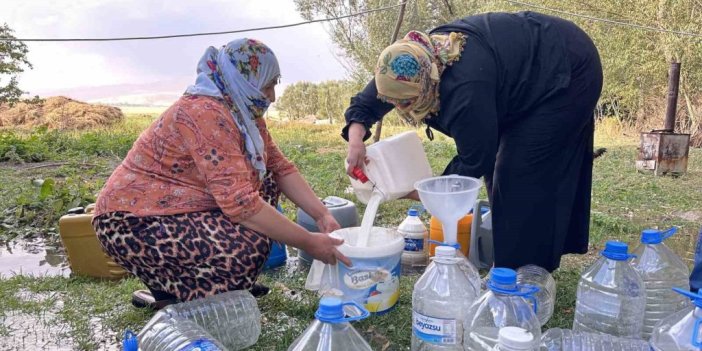 Yüksekova’da kışlık süt mesaisi başladı