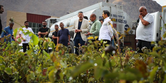 Vali Çelik, Hakkari şehir peyzajında kullanılacak bitki ve çiçekleri inceledi