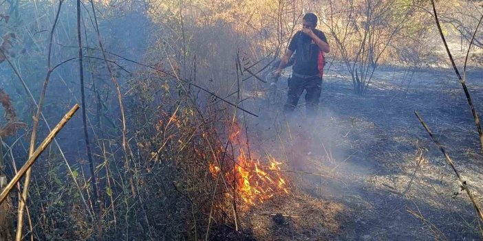 Mardin’de çıkan yangın devam ediyor