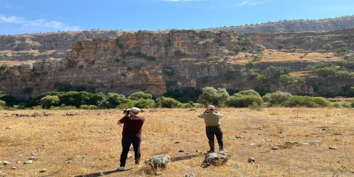 Şırnak’ta kaçak avcılığa karşı ekipler denetimlerini sürdürüyor