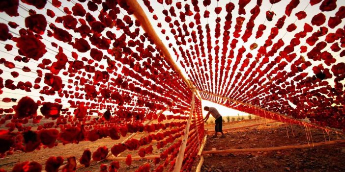 Gaziantep'in kuru sebzeler dünya mutfaklarında