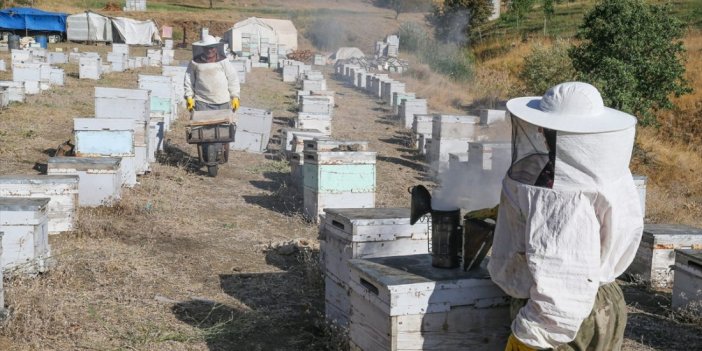 Ordulu arıcı Hakkari dağlarında "en iyi bal" için mesai yapıyor