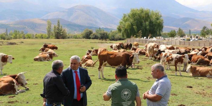 Erzincan'da Mera Islah Projeleri incelendi