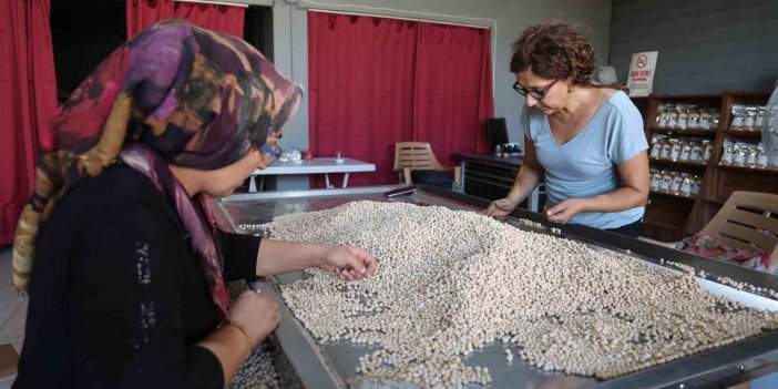 Depremzede 2 çocuk annesi, devraldığı tesiste tonlarca leblebi üretiyor