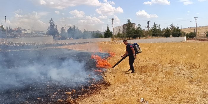 Mardin’de ot yangını çıktı