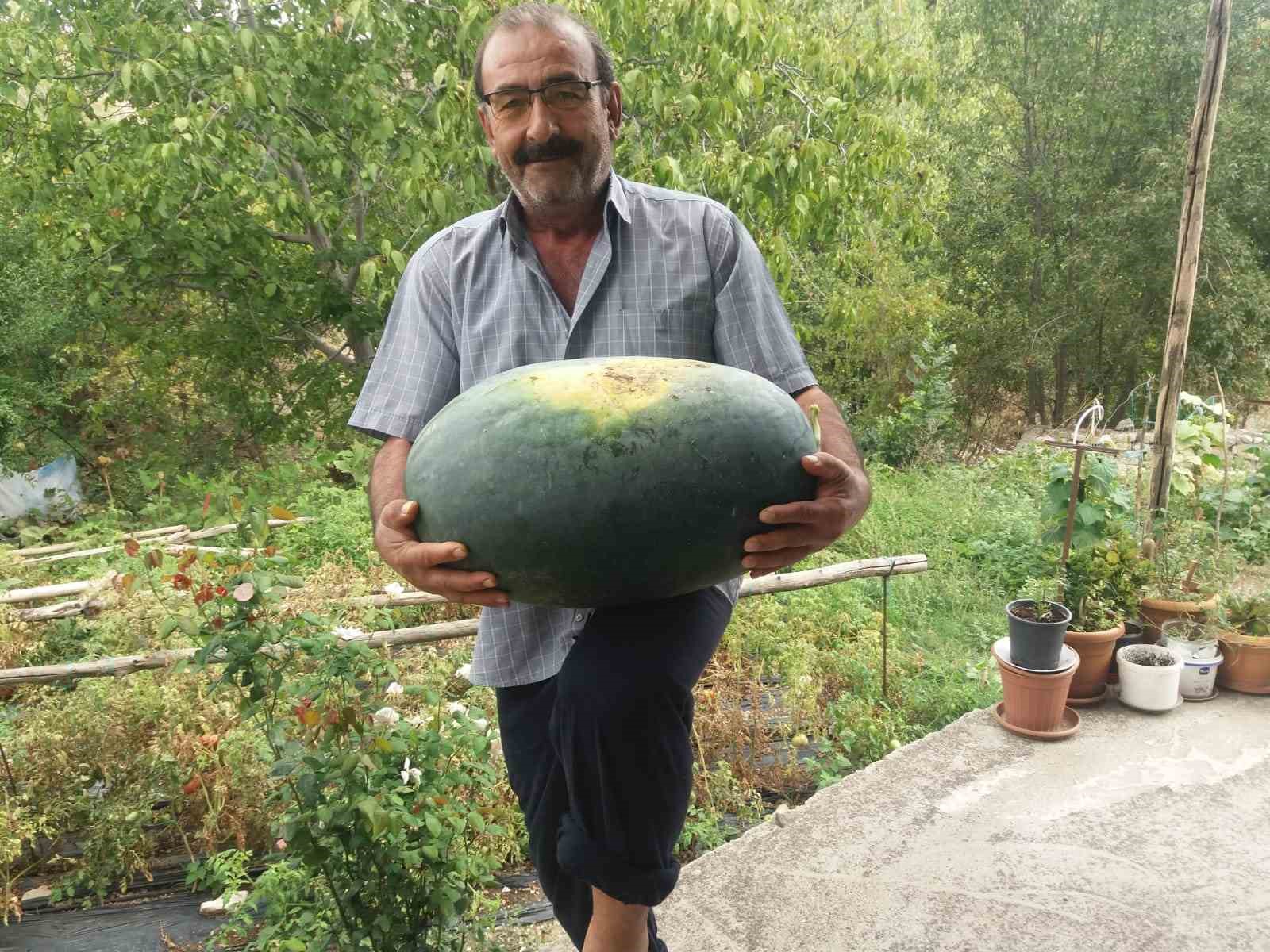 Tunceli'de üretici 25 kiloluk karpuzu güçlükle taşı