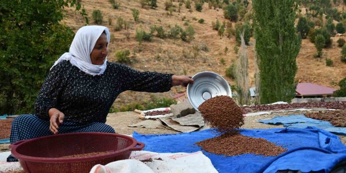 Şırnak'ta bu aile sumak satarak geçimini sağlıyor