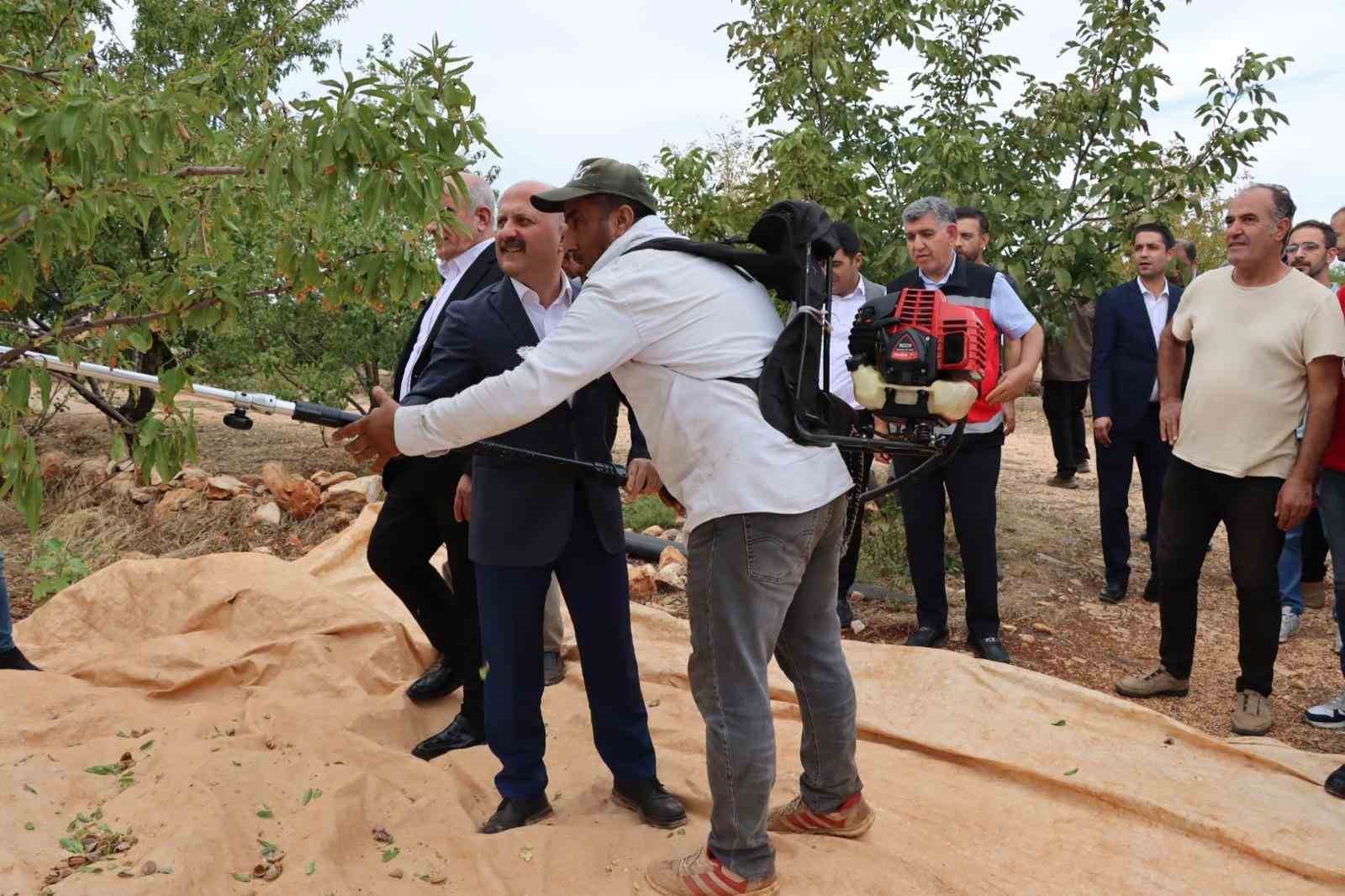 Adıyaman'da Antepfıstığı ve badem hasadı başladı