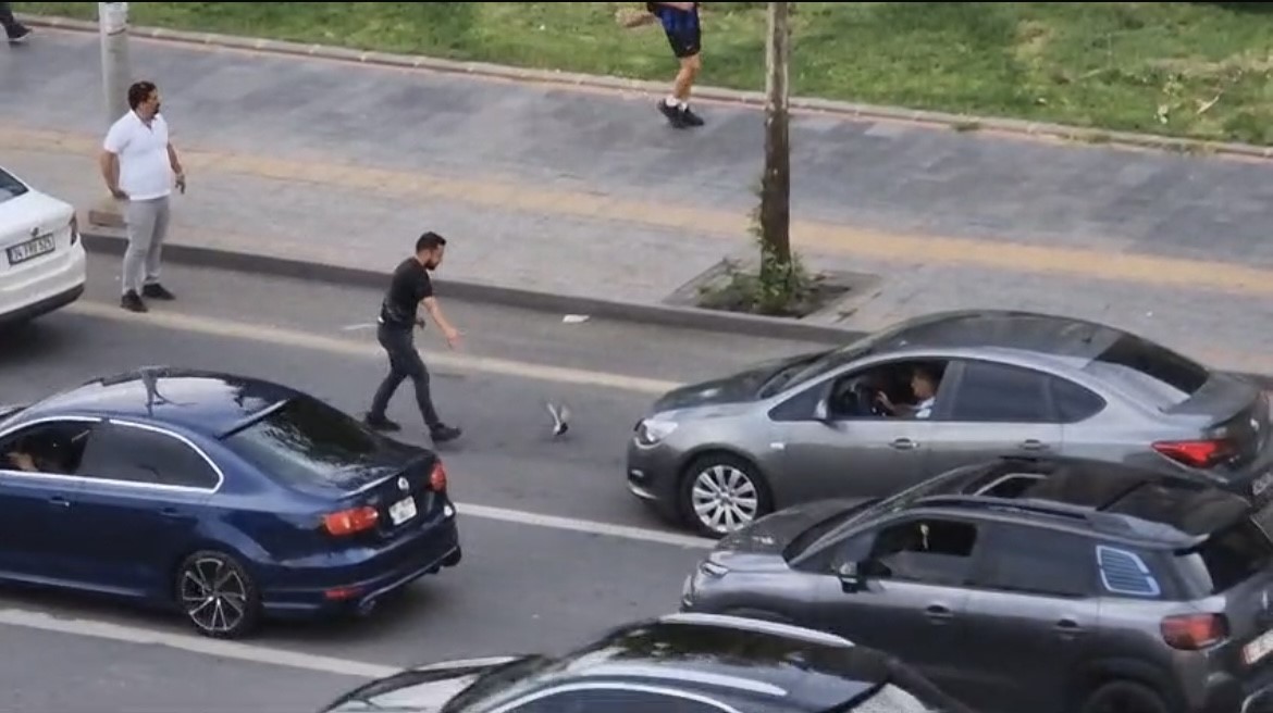 Diyarbakır'da yaralı güvercin trafiği birbirine kattı