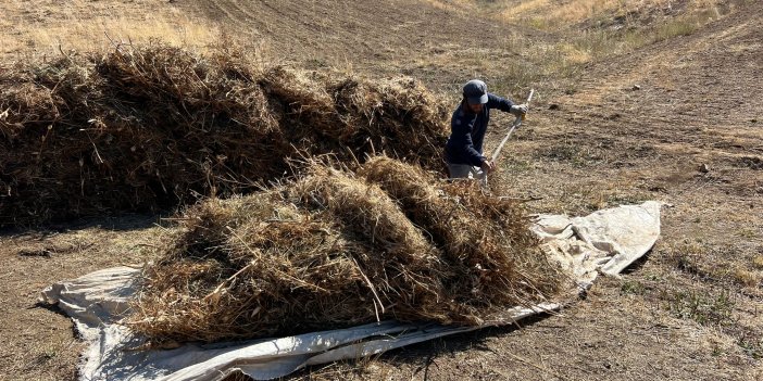 Yüksekova'da besiciler, kış yemini brandayla köye taşıyor