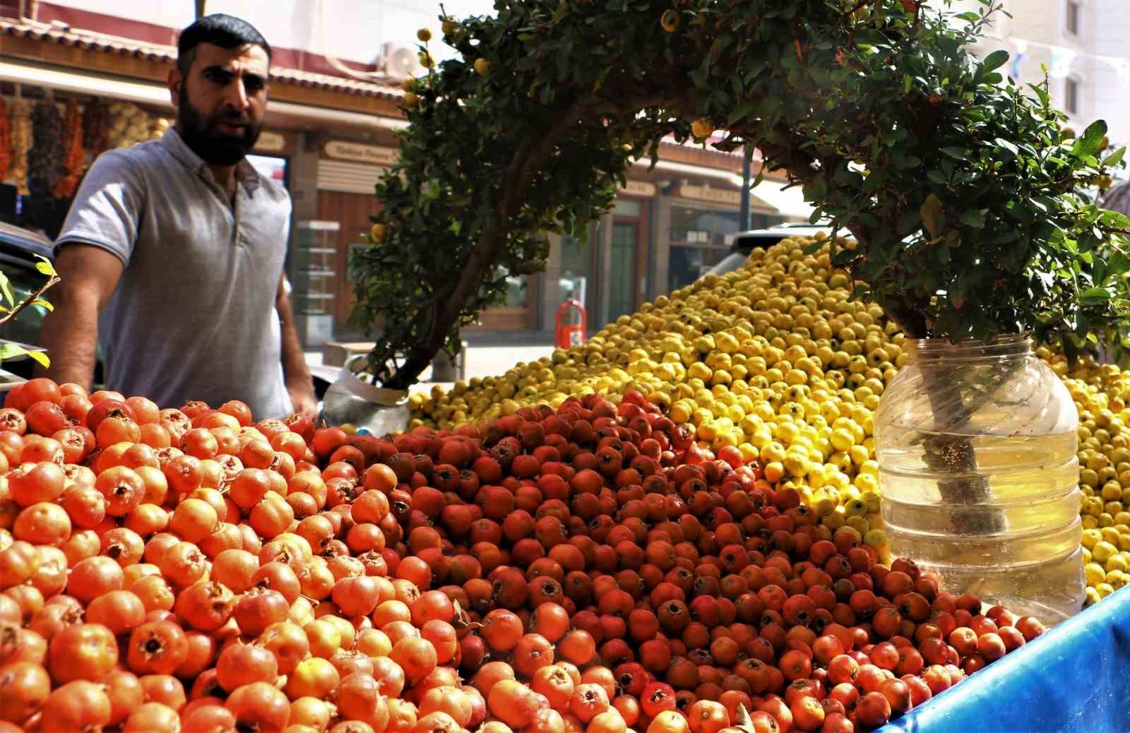 Sonbaharın aromatik meyvesi ‘alıç’ tezgahlarda