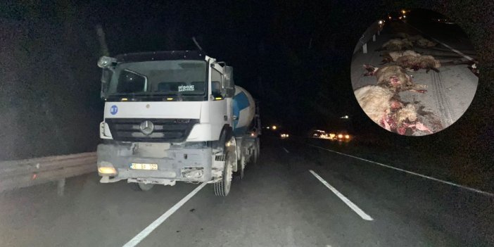 Hakkari-Van yolunda beton mikseri koyun sürüsüne daldı