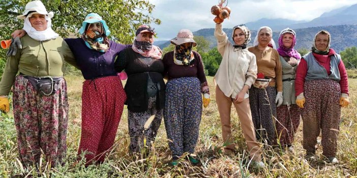 Erzincan'da İşçi kadınlar önce hasat ettiler sonra halay çektiler