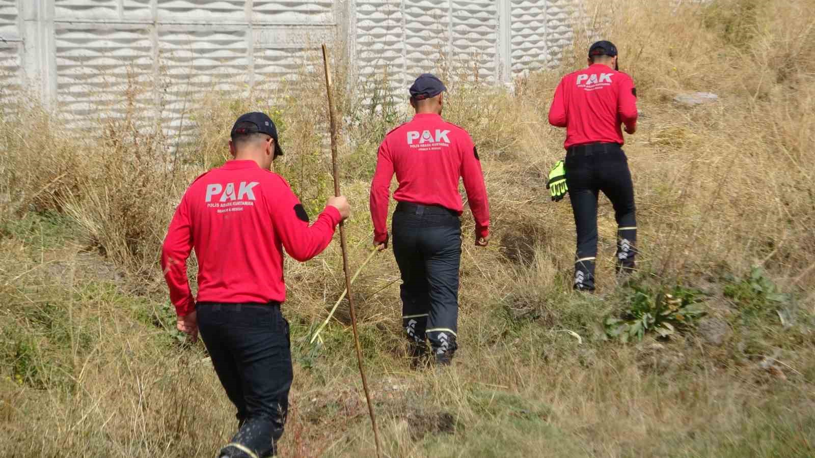 Van’da kayıp öğrenci Rojin Kabaiş’i, arama çalışmaları sürüyor