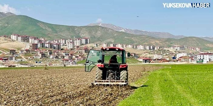 Yüksekova’da çiftçilere yonca ve korunga tohumu dağıtımı yapılacak